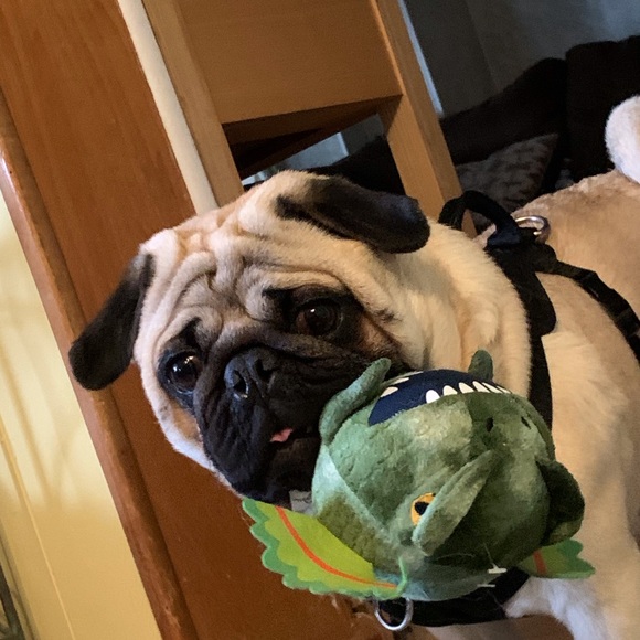 Meet your Posher, Melanie - Picture 8 of 12